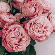 Цветочный магазин Ann Flowers на улице Лескова фото 8 на сайте MyBibirevo.ru