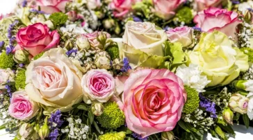 Магазин цветов Bella-roza  на сайте MyBibirevo.ru